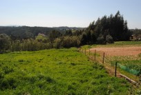 1000 m2 constructible land with the possibility of construction