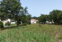 Land for construction in Caldas da Rainha with 7106 m2, with allotment area for 9 lots