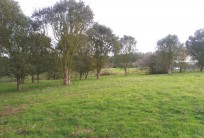 Land with ruin and with excellent countryside views - near Óbidos