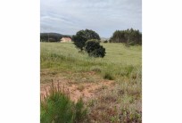 Land with 21 160m2 - 10 minutes from Torres Vedras